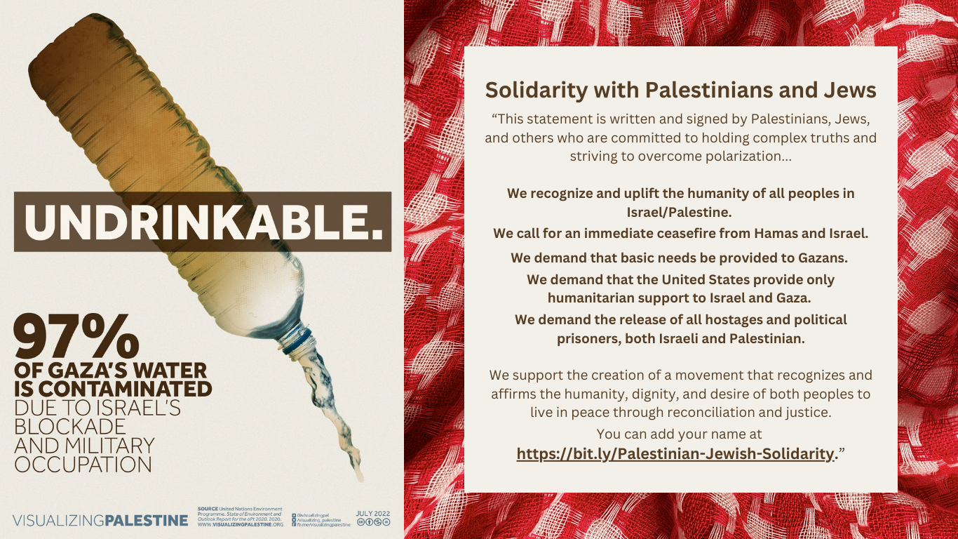 Visualizing Palestine graphic 97% of Gaza's water is undrinkable. Also excerpt of Palestinian Jewish Solidarity statement.