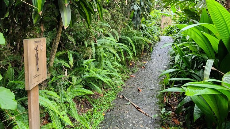 photo of path with wooden sign of a witch doing calf raises