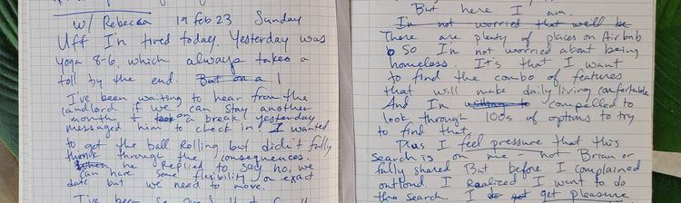 pages of a notebook with messy handwriting of first draft of the post