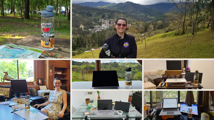 Sticker of "Free Palestine" with watermelon slice. Pic of me with bottle on a hike. 5 pics of desk set up with bottle.