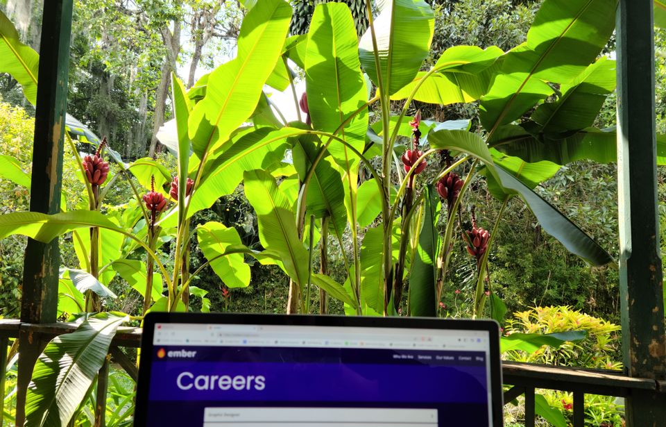 Sitting on the front porch, photo of laptop with banana trees in the background