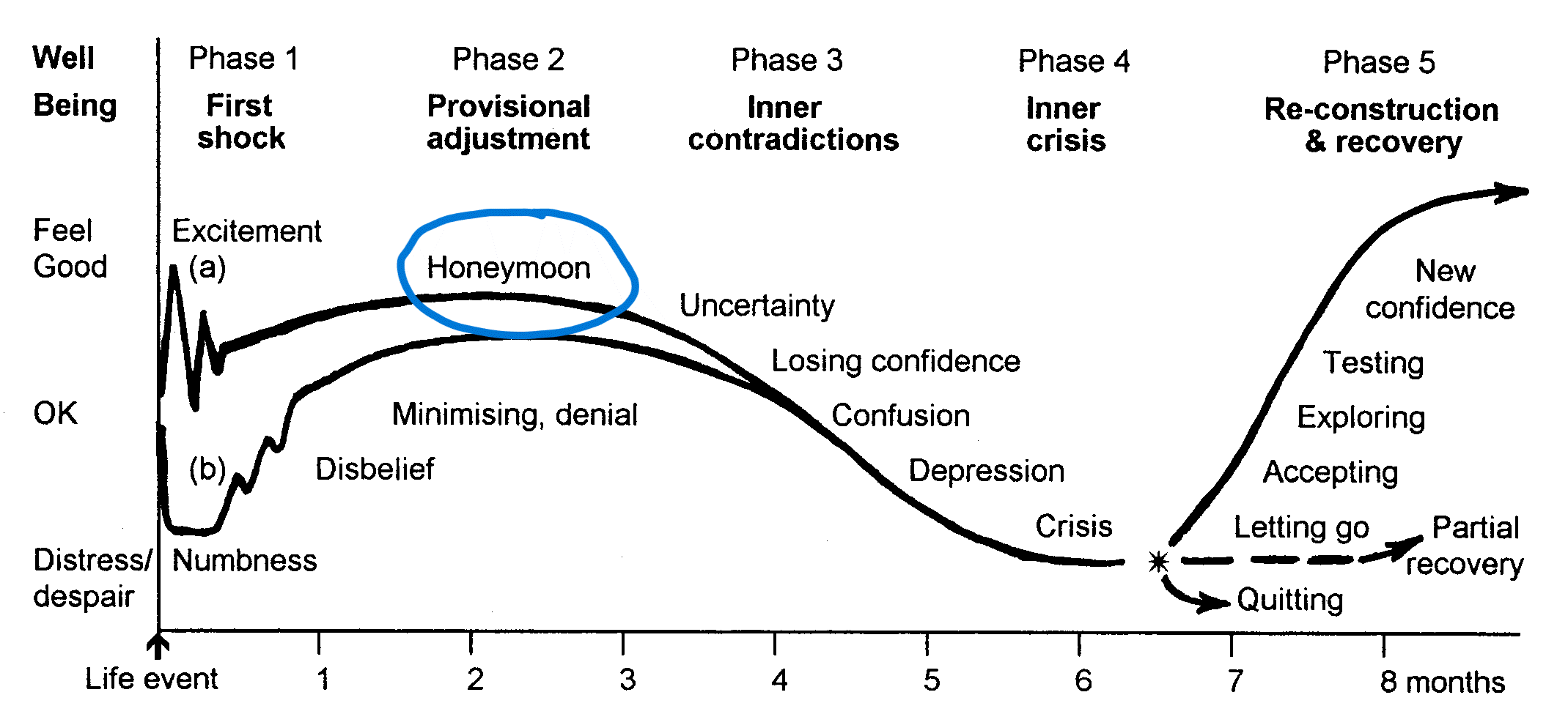 Graph showing 5 stages of adjustment, a W shaped curve with ups and downs, the up point of the honeymoon is circled